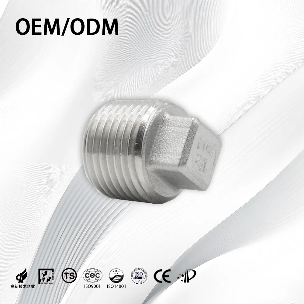 Stainless Steel Industrial Customize OEM NPT BSPT Square End Plug