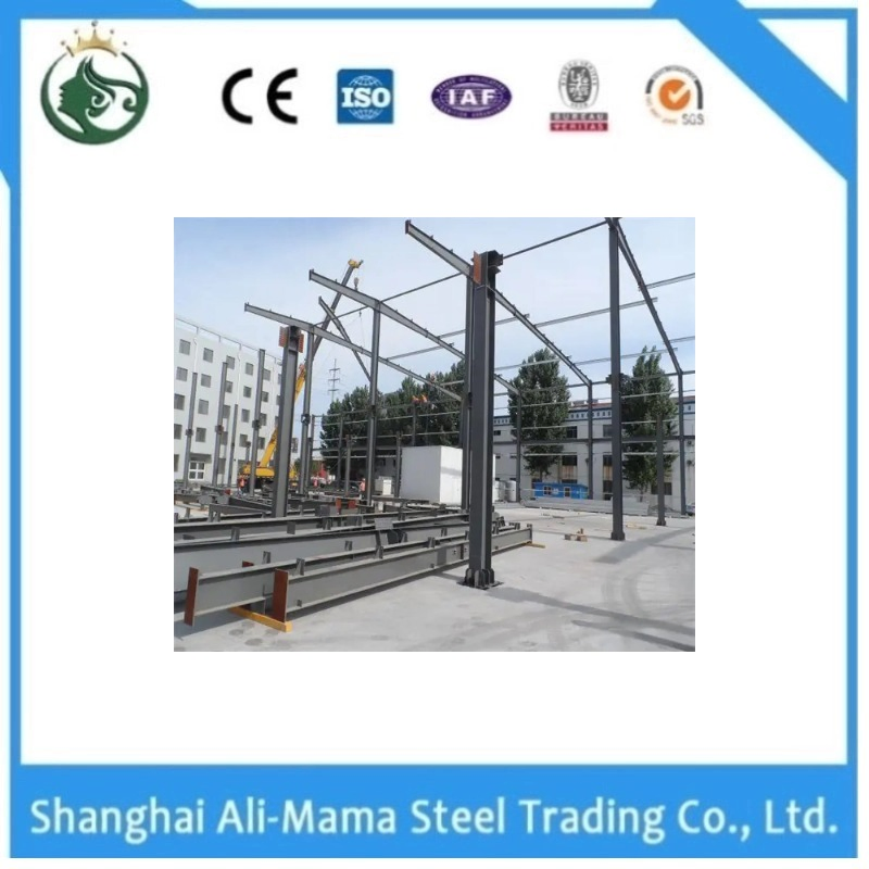 Workshop/Warehouse/Garage/Hanger/Shed by Steel Structure