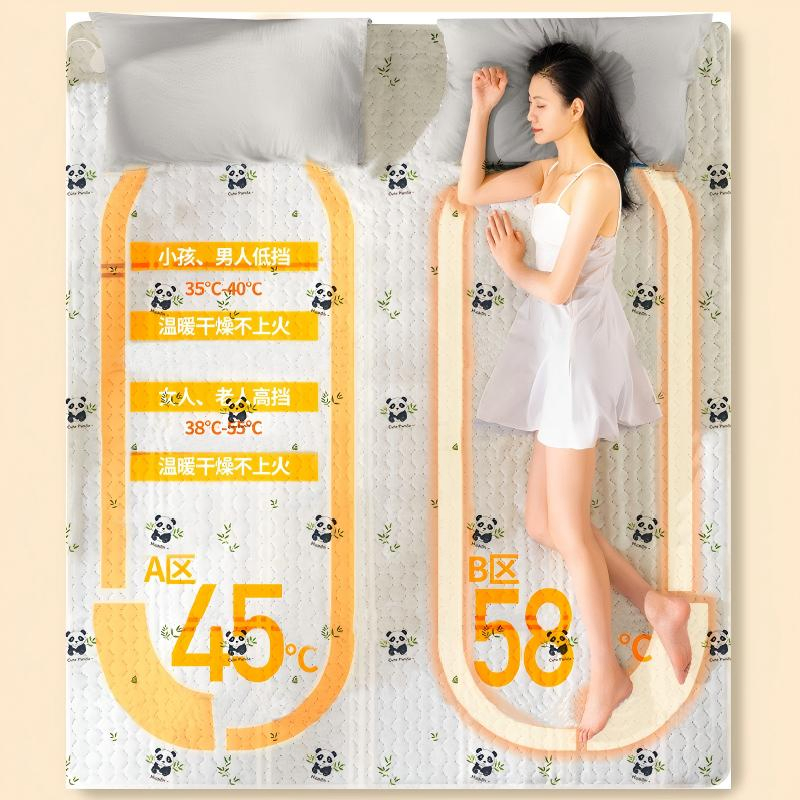 Professional Manufacturer of CE Certified Electric Blanket Dual Control Fleece Heating Blanket OEM Service for Home and Gift Use