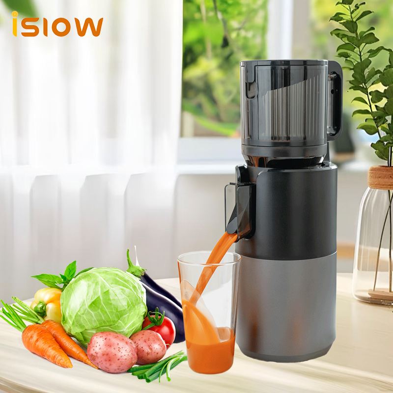 Sj-067 Large Feeding Mouth Juicer Machine Cold Press Slow Juicer