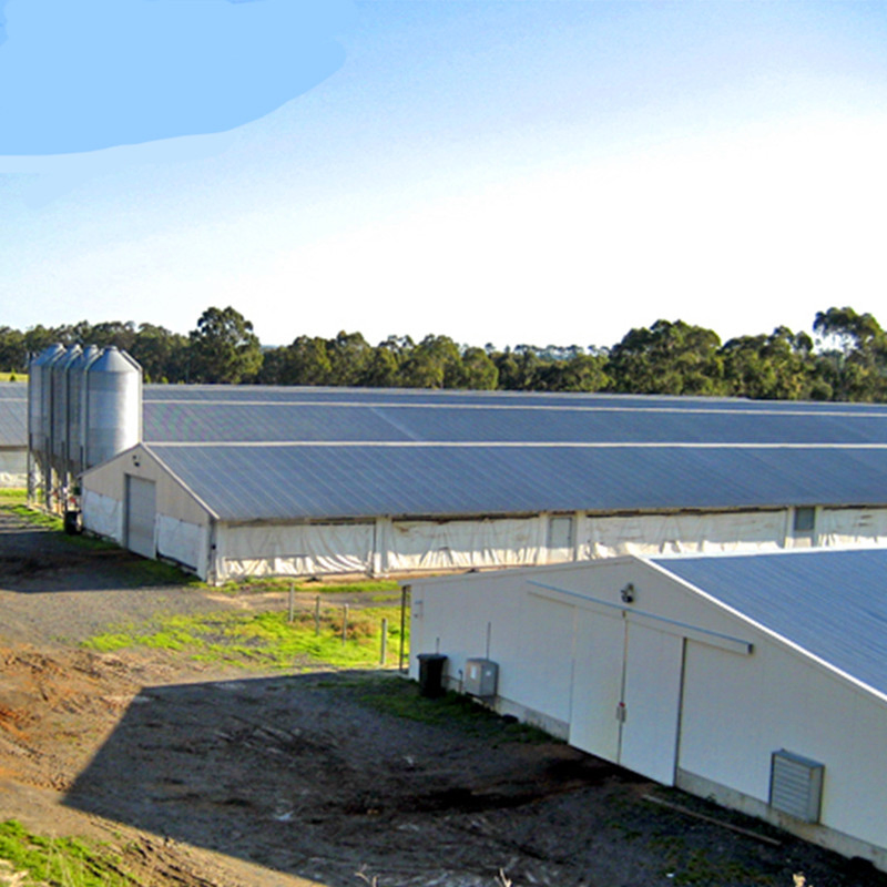 Prefabricated Chicken House Structure Building Poultry Farm Single Color Plate Galvanised