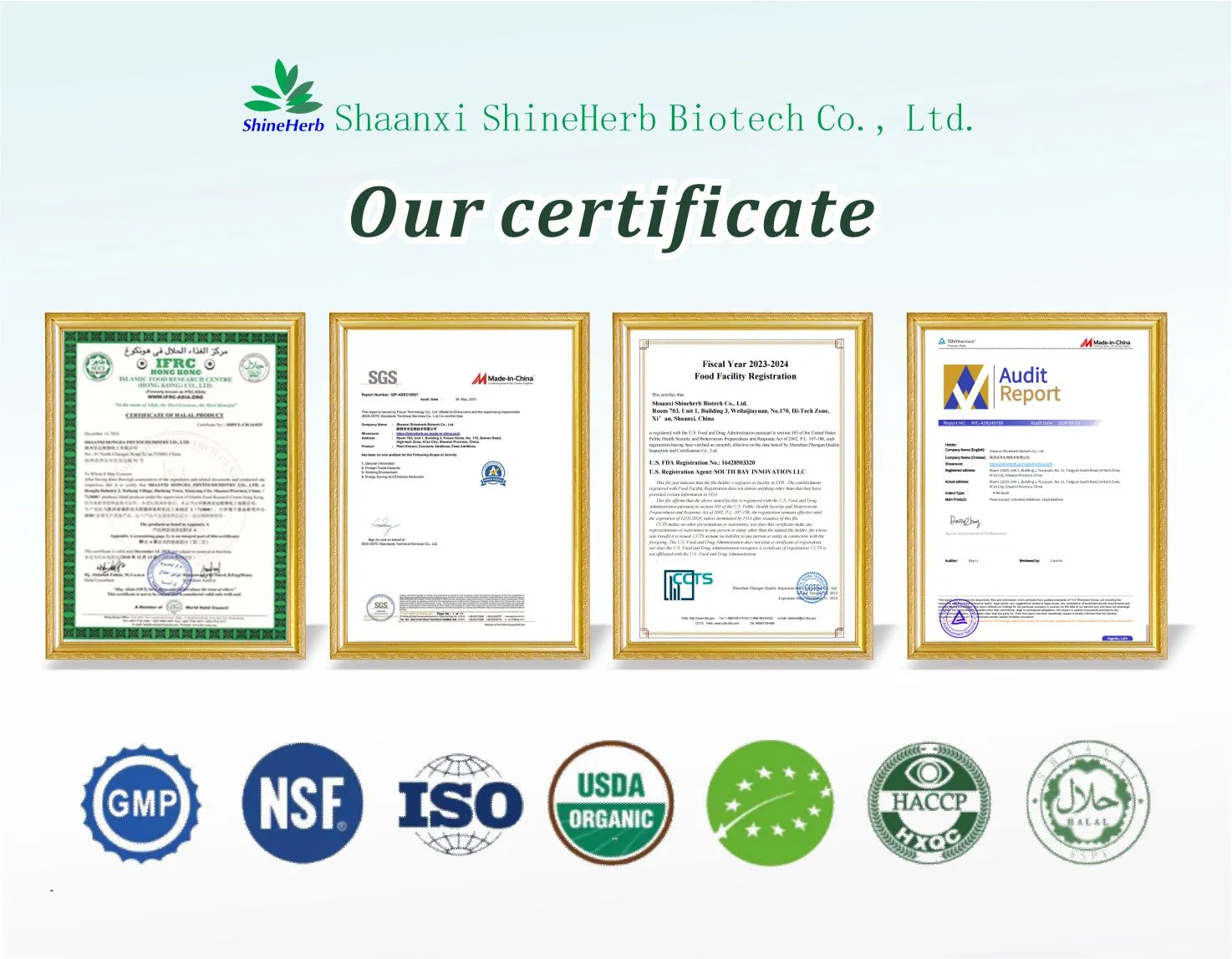 China Factory Wholesale Natural Organic Thyme Essential Oil