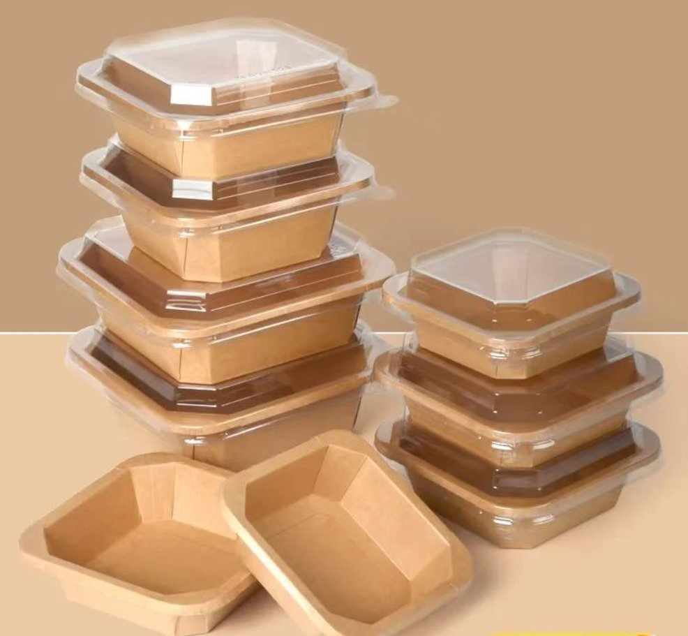 Wholesale Restaurant Takeout Togo Food Boxes Biodegradable Disposable Food Container