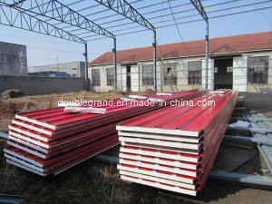 Prefabricated Building Roof & Wall EPS Sandwich Panel (DG9-004)