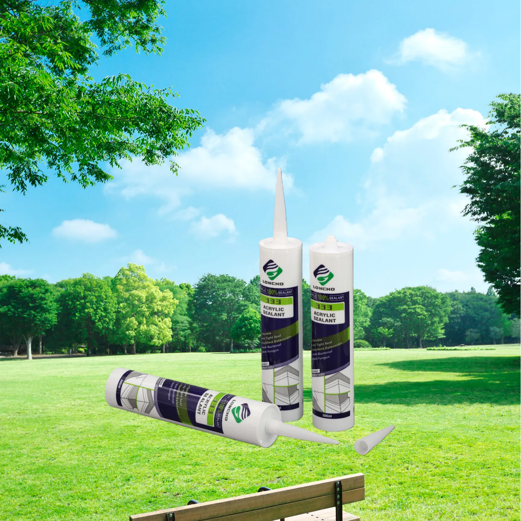 Hygienic Sealing Quick Drying Silicone Sealant for Seamless Finish