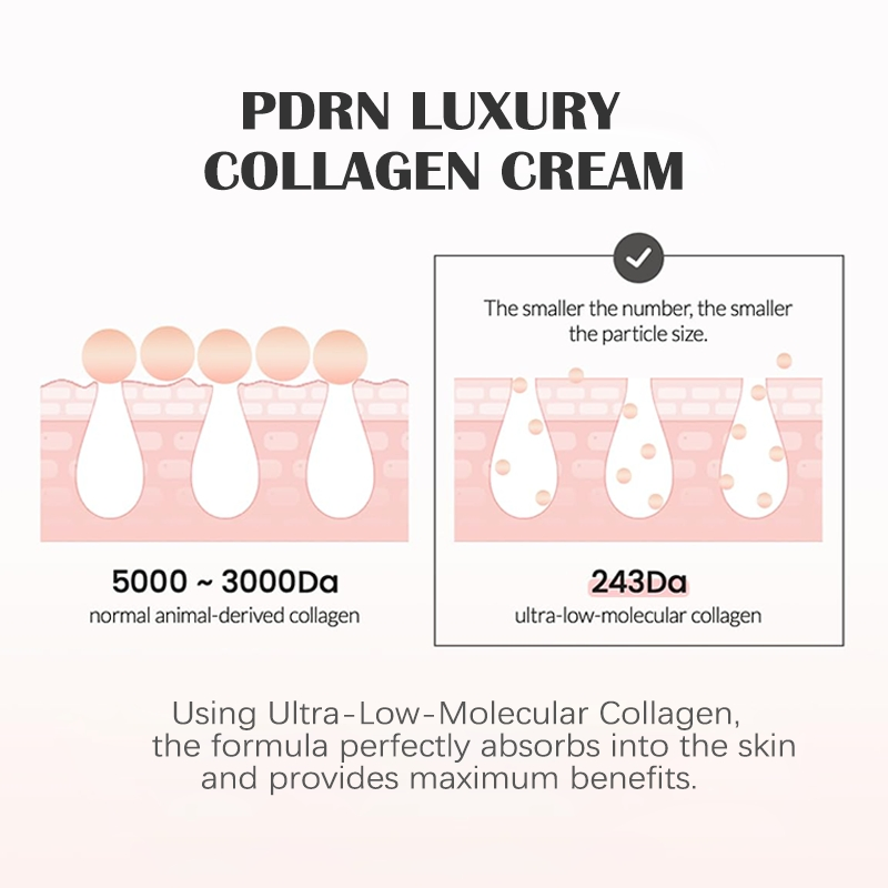 Pdrn Luxury Collagen Cream Pore Tightening Collagen Cream Shrink Pores Fading Fine Lines Salmon Pdrn Collagen Face Cream
