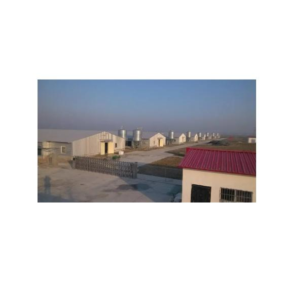 High-Quality Steel Poultry House Manufacturing for Optimal Processability