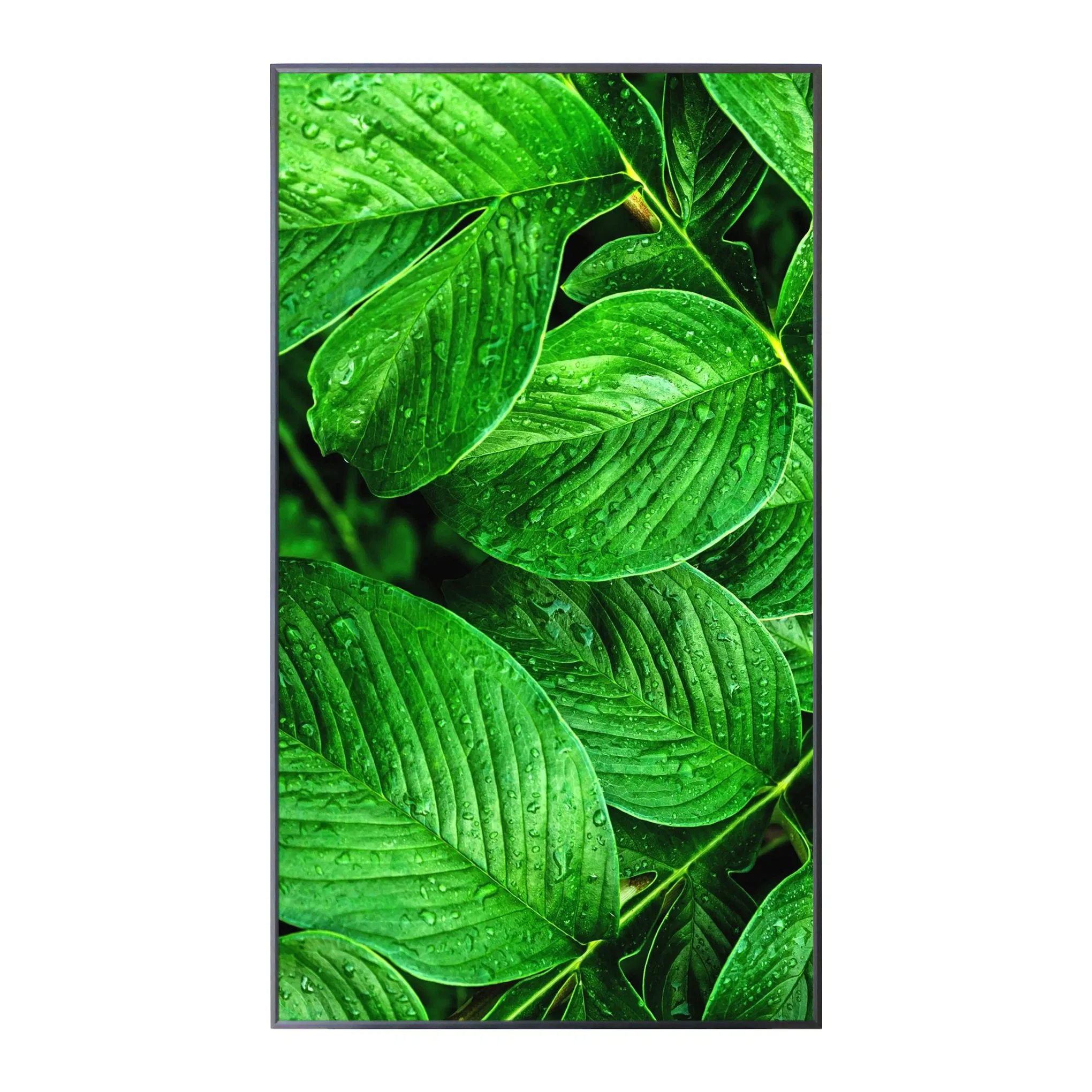 Multi-Functional 43'' Advertising LCD Display-Art Exhibitions, Digital Signage, Commercial Displays