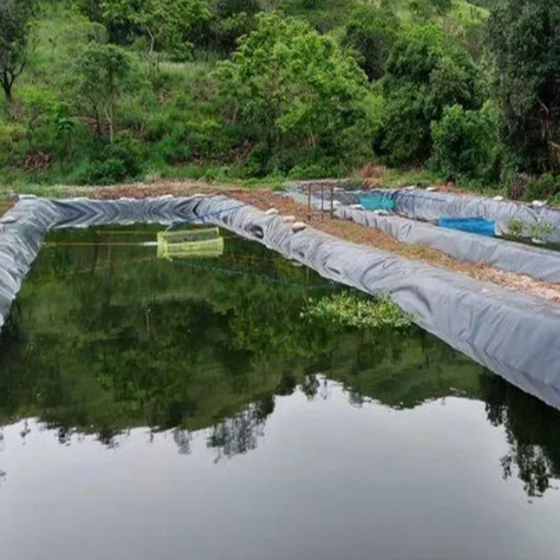 Pond Liner Geomembrane HDPE Water Storage Polythene Sheet Wholesale Price Factory Supply