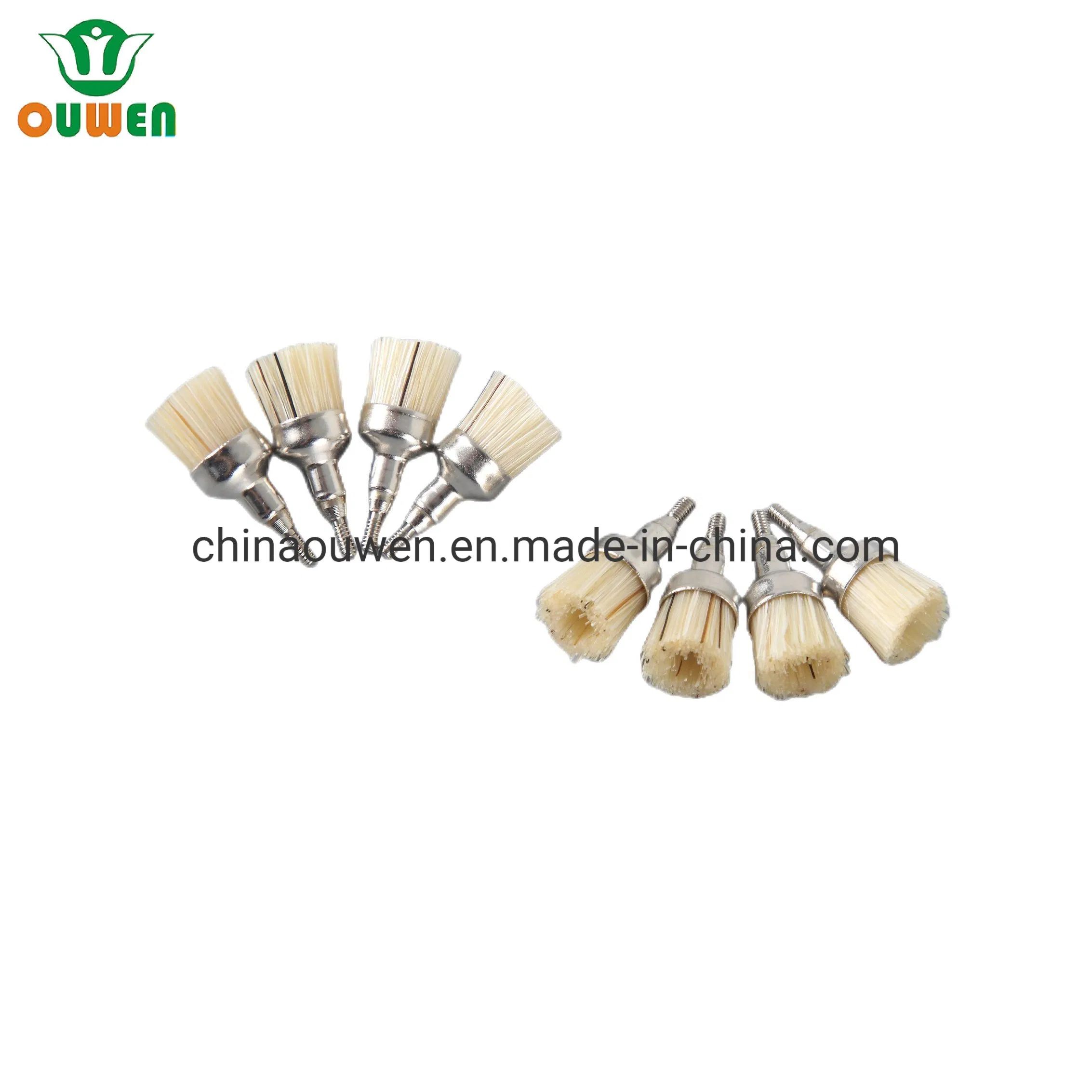 Latch Type Prophy Brushes Disposable Cup Dental Polishing Brush Screw in