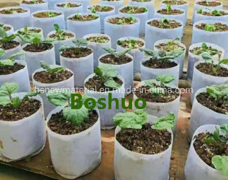 5 6 7 10 15 20 25 30 Gallon Nonwoven Geo Textile Fabric Felt Potato Tomato Peanut Pepper Garlic Yam Vegetable Garden Gt Plant Seedling Grow Bags China Supplier