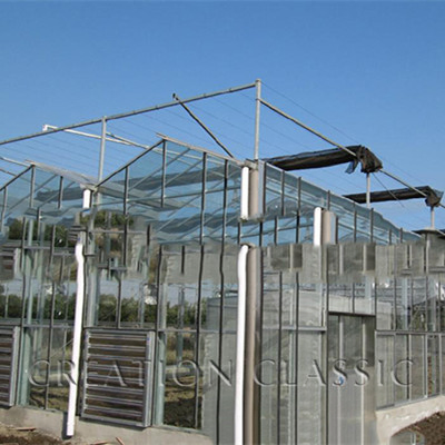 4mm Clear/ Diffuse Tempered Horticulture Glass for Greenhouse