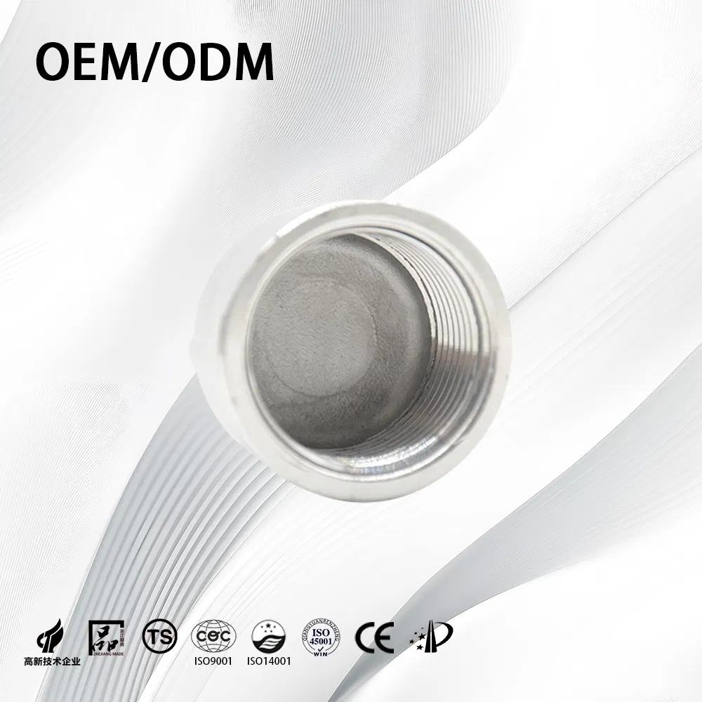 Stainless Steel Customize ANSI B16.9 Threaded Tube End Cap with Sand Rolling