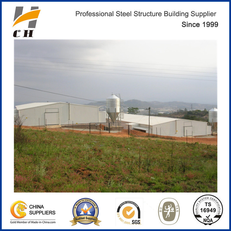 Factury Price Light Weight Metal Steel Structure Frame Broiler Farm/Poultry House/Broiler House/Chicken House with Equipment