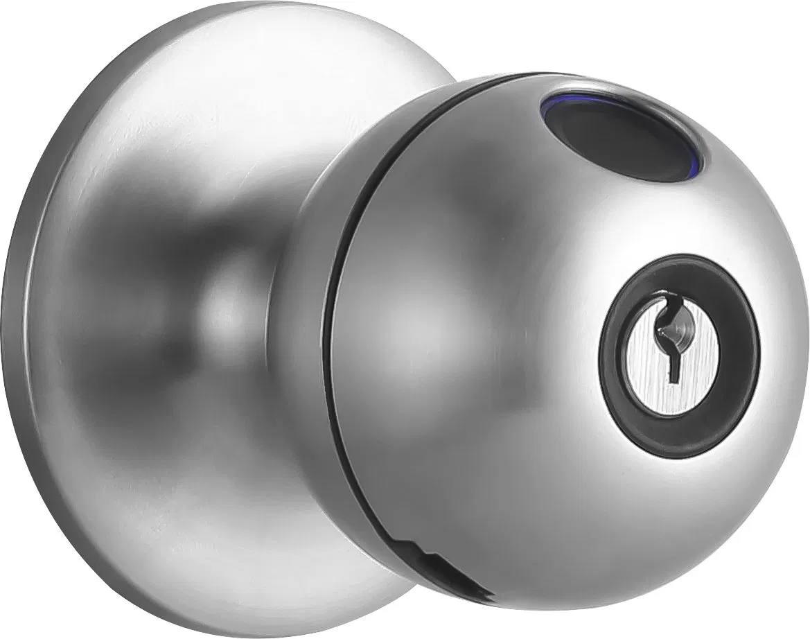 Smart Tuya APP Fingerprint Digital Round Knob Keyboard Ball Door Lock
