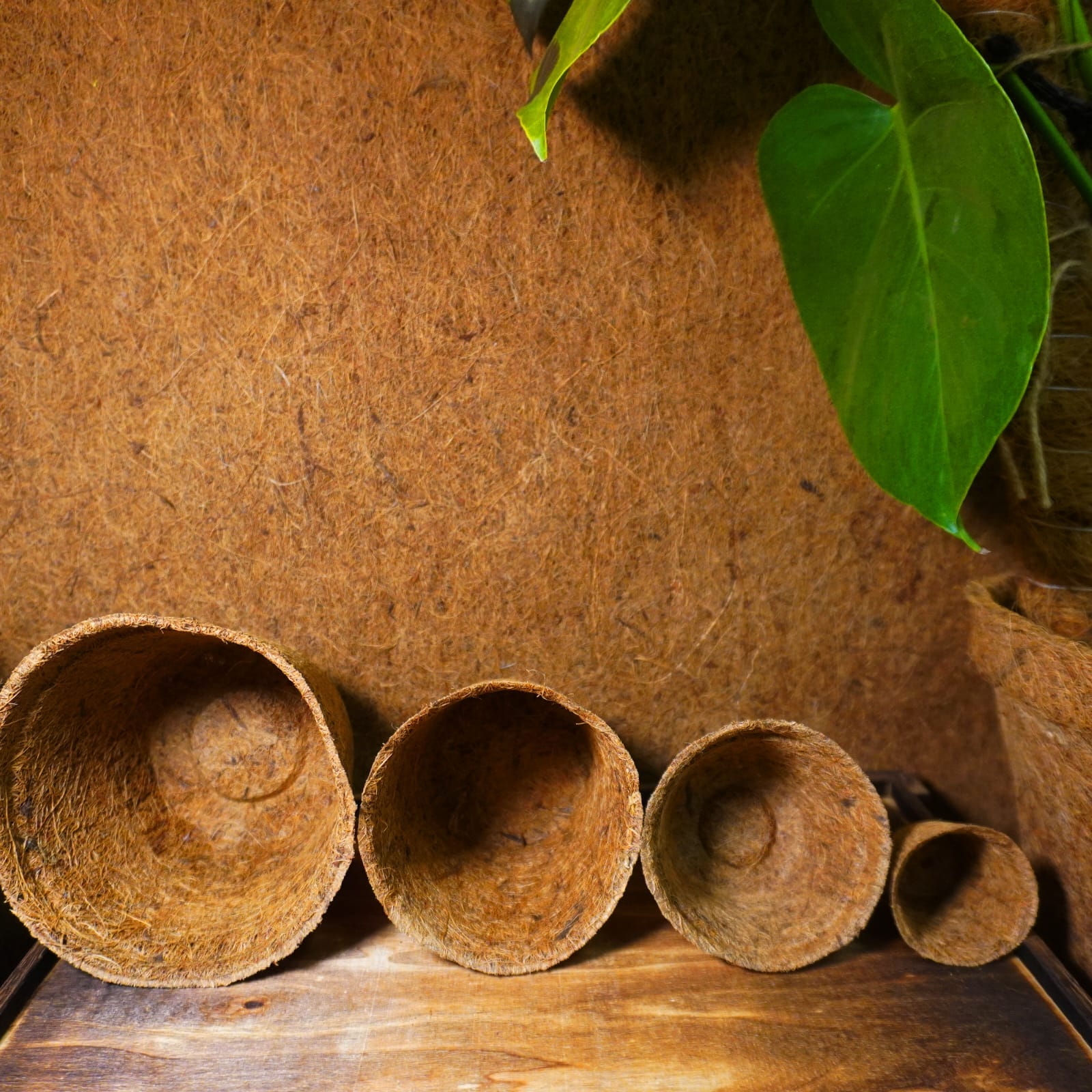 Волокно кокосовое натуральное для растений