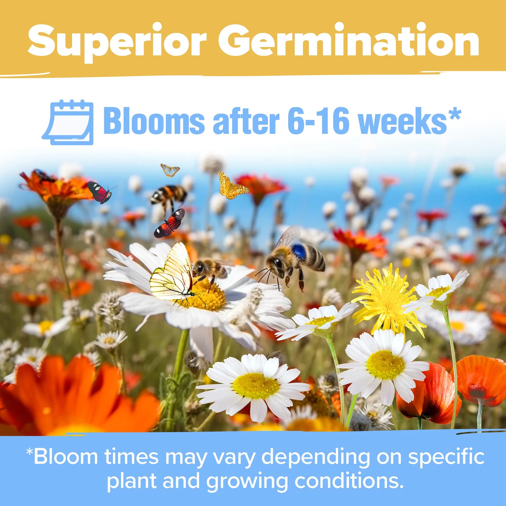 Wholesale Home Grown USDA Organic Wildflower Seeds Mix for Attracting Birds & Butterflies