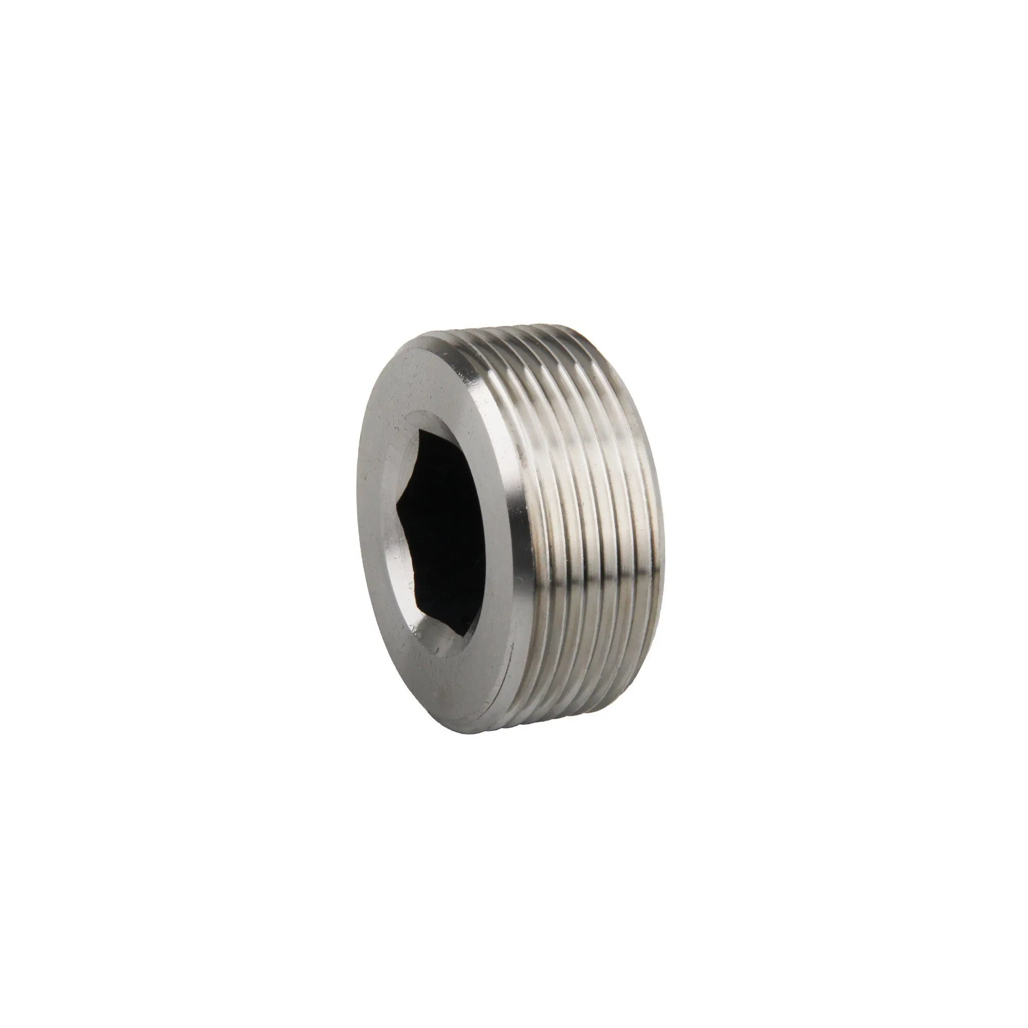 NPT Thread Pipe Fitting Stainless Steel 316 Plug for Water Heaters