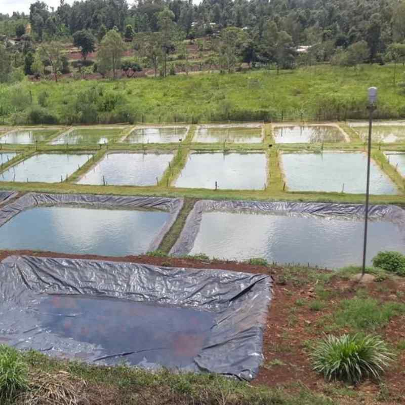 PP Anti-Sepal Geomembrane, Strong and Ductile for Railways/ Airports/ Municipal Roads