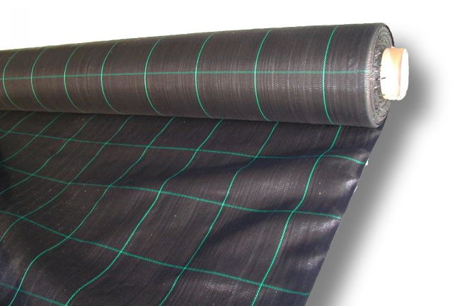 Weedmat with Square Marking Line