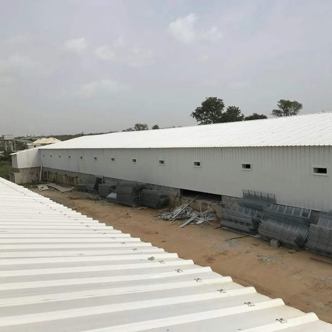 Nigeria Steel Structure Poultry Farm Building Modular Prefabricated/Prefab Chicken House
