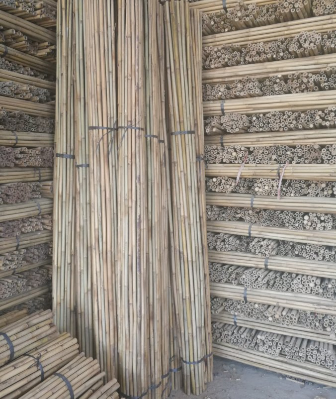 Bamboo Raw Materials Bamboo Cane Bamboo Pole for Plant