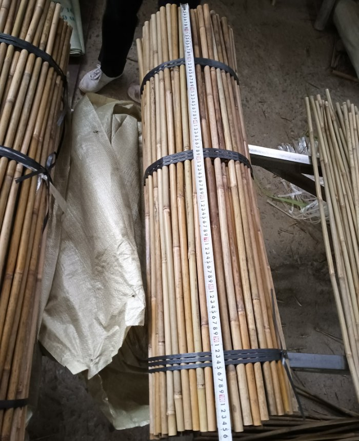 Tonkin Bamboo Poles Used for Building Garden or Farms/Bamboo Cane