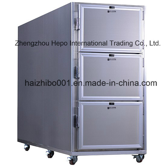 Unique New Designing Mortuary Corpse Refrigerator (SKU: HP-CR3N)