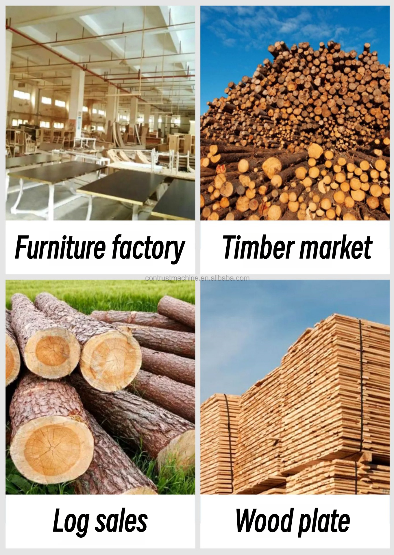 Станок лесопильный ленточнопильный