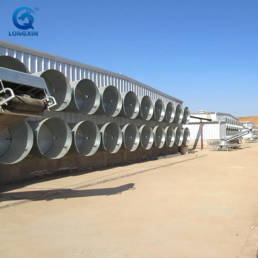 New Prefabricated Durable & Easy Installation Steel Structure Chicken Dairy Cattle Goat Shed Layer Breeding Cage Chicken Broiler Poultry Farm for Sale