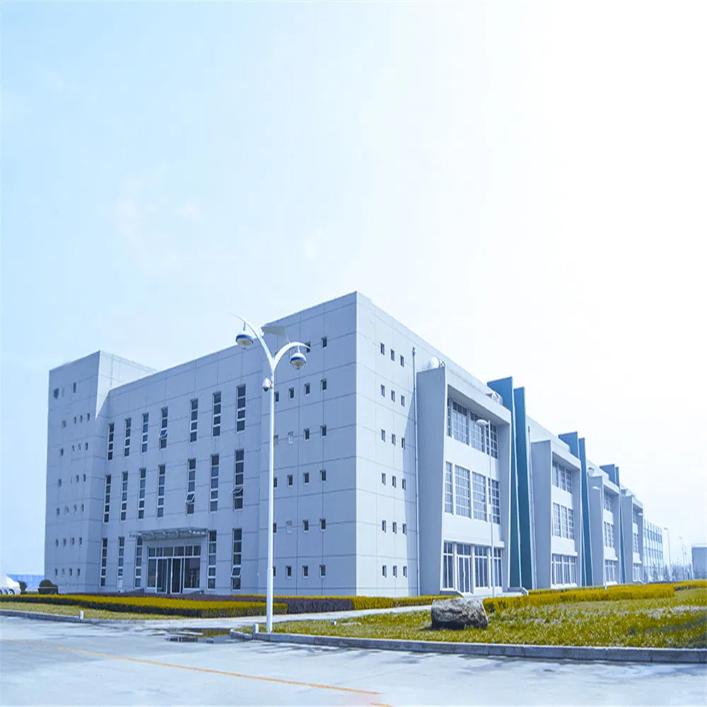 Economical Custom Design Attractive Price New Type Steel Structure Mall