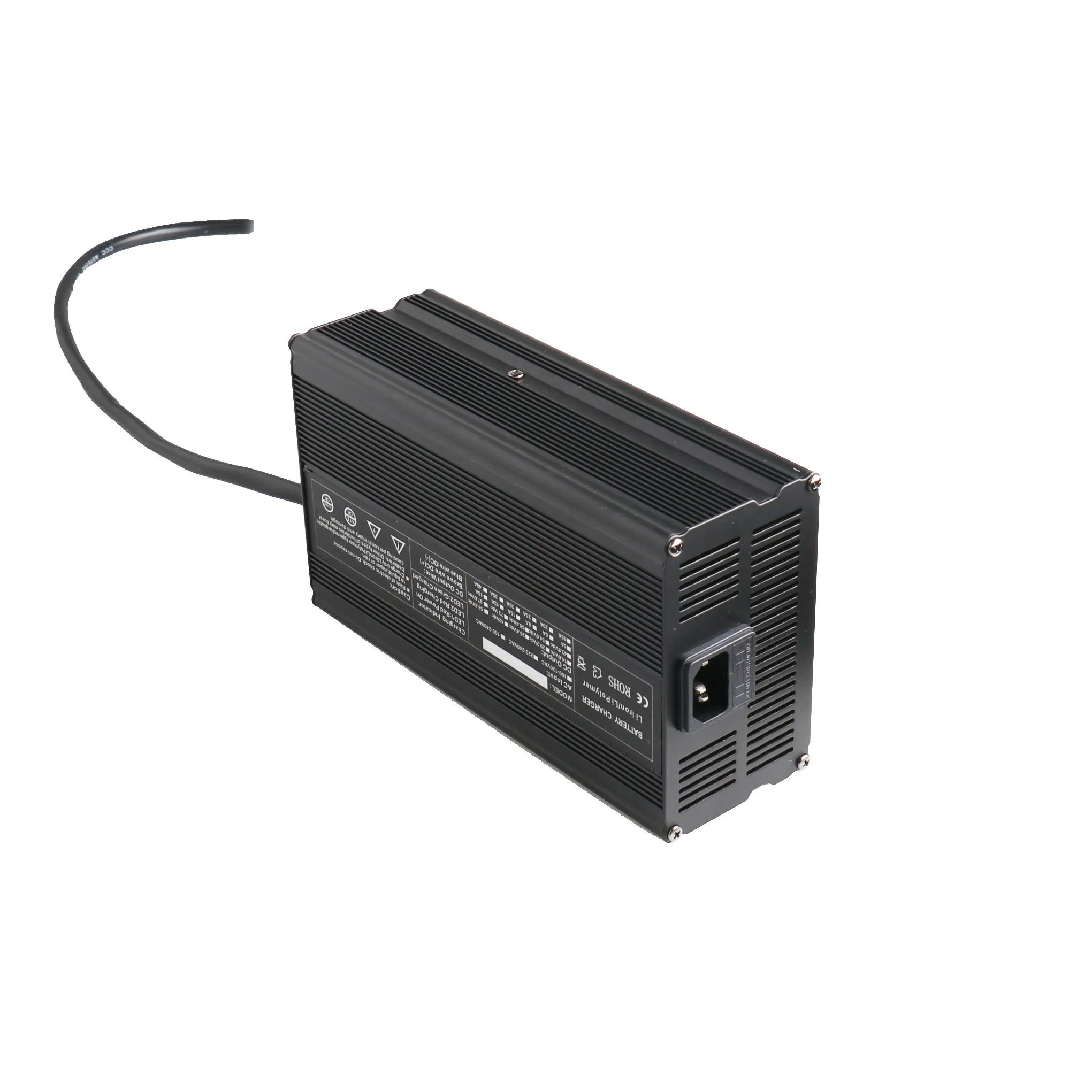 Универсальное зарядное устройство 12V 35A для электромобиля