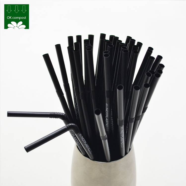 China Eco-Friendly Disposable Custom Logo Natural PLA 100% Compostable Black Straws