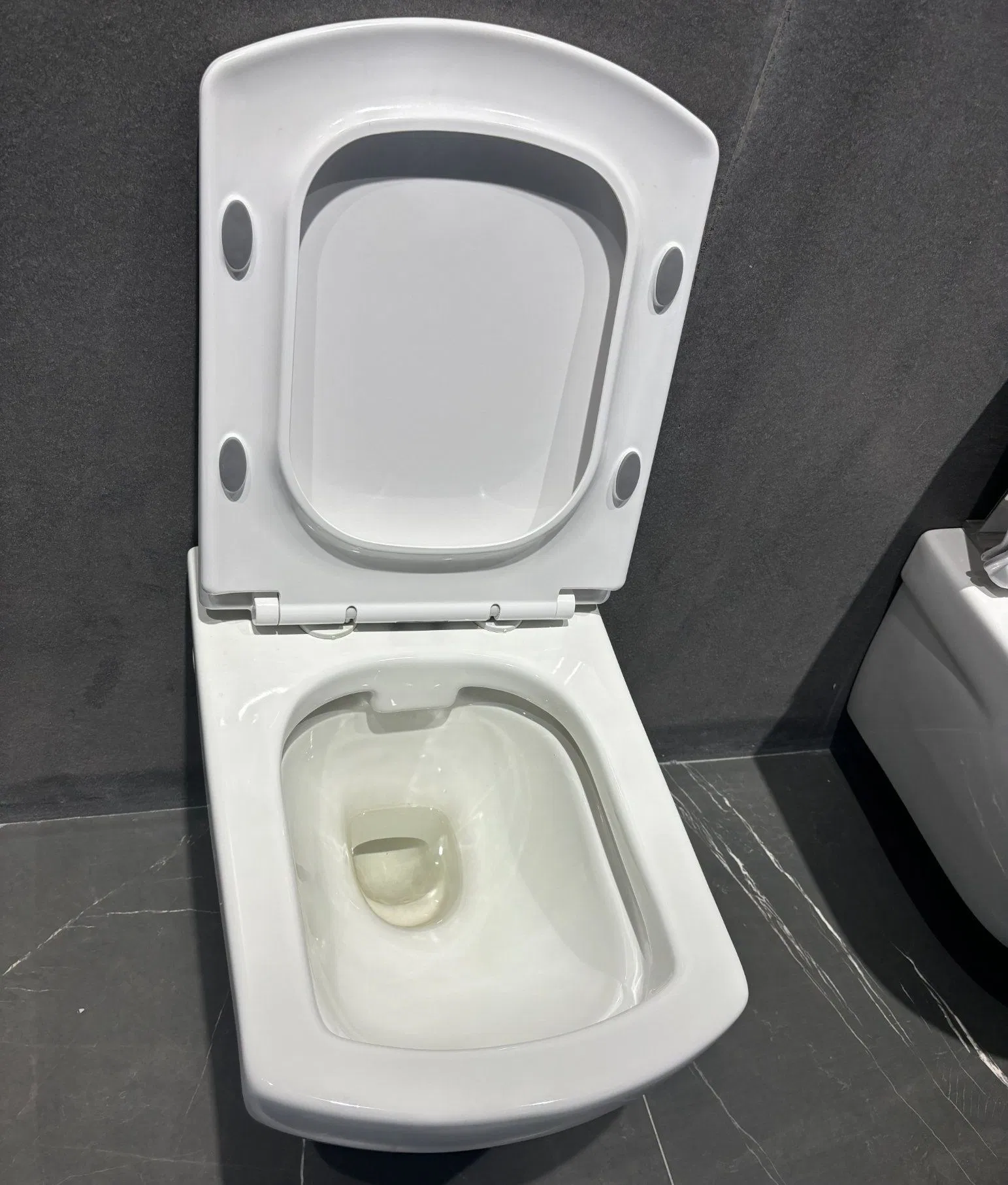 High Quality Chaozhou Ceramic Sanitaryware Wall Hung Mounted Toilet for Middle Eastern
