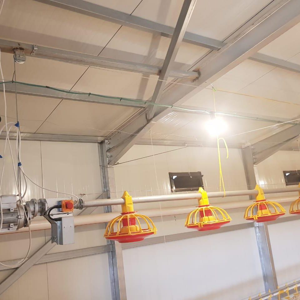Steel Structure Building for Layer and Broiler Chicken Farm Low Cost