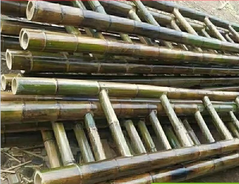 Cheap Moso Bamboo Ladder / Bamboo Steps / Der Insulation Ladders