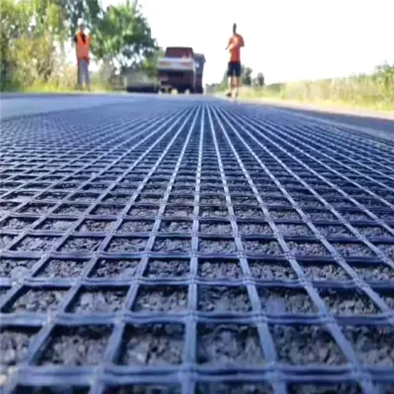 High-Quality Plastic HDPE Geogrid and Geocell, 1.2m X 20m Size