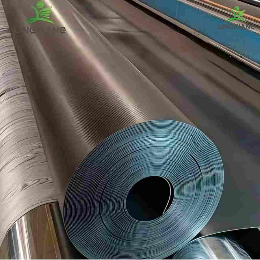 Reliable Waterproof Geomembrane for Fish Shrimp Pond and Biogas Applications Swimming Pool Agricultural Agriculture Aquaculture Water Storage Pool PVC Liner