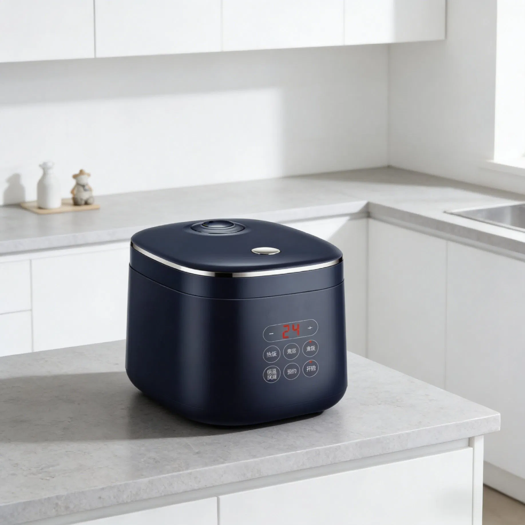 Small Low Sugar Mini Rice Cooker Electric Multifunction Multipurpose Cooker Automatic Rice Cooker with Steamer