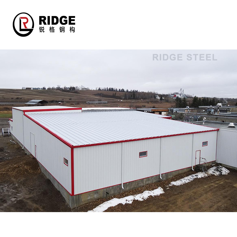 Eco-Friendly Economic Prefab Modular Steel Frame Store Shop Mall Hall Prefabricated Building