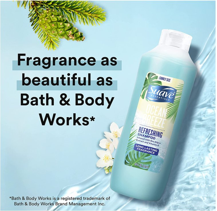 Private Label 100% Pure Natural Organic Hair Care Set Anti-Hair Loss Ginger Hair Shampoo