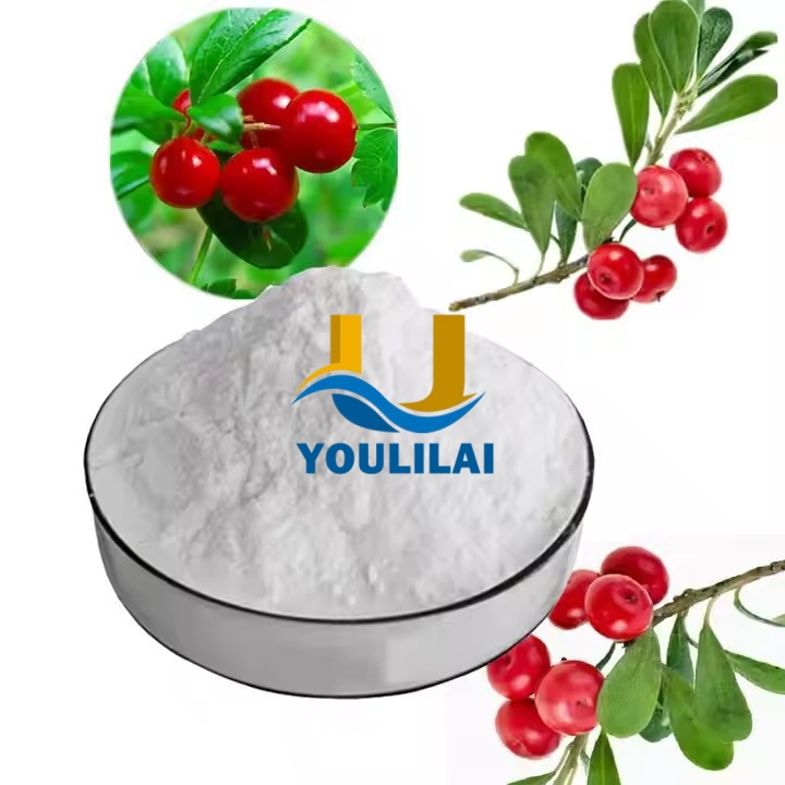 Cosmetic Grade Alpha-Arbutin 99% Price Bearberry Extract for Skin Whitening Remove Freckles