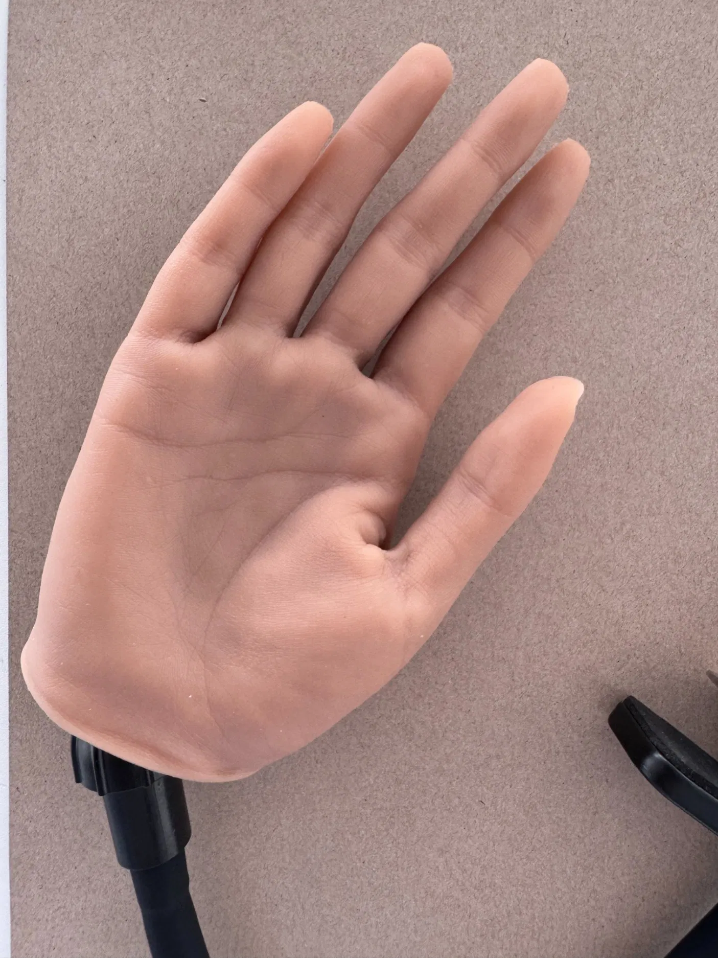 Ultimate Silicone Nail Training Model for Beauty Schools