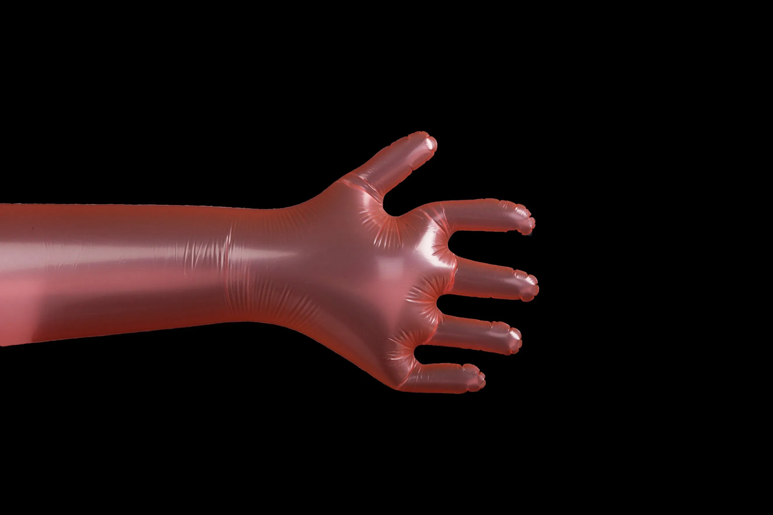 Disposable Elbow Length Gauntlet for Veterinary Use
