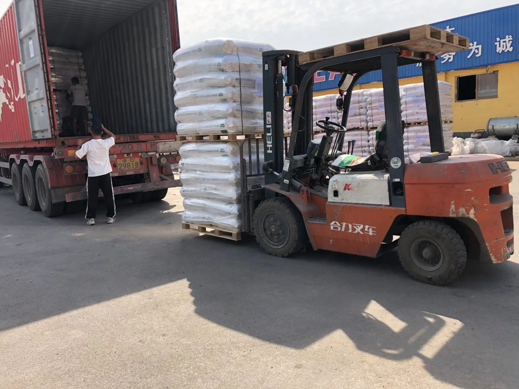 Celix Construction Vae Redispersible Polymer Powder Construction Chemicals for Cement Based Wall Putty Rdp-5030