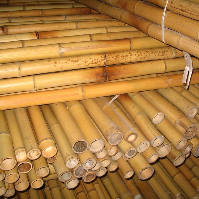 Round Bamboo Poles Bamboo Canes and Bamboo Sticks for Constructions and Decoration