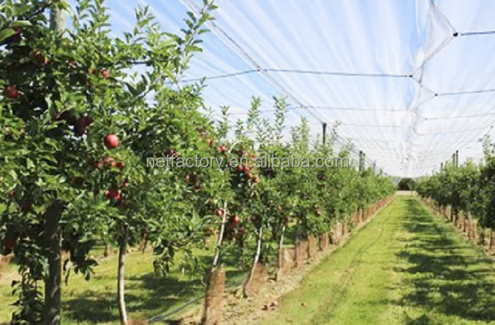 Top Quality Agriculture Net Wrap Anti Hail Net