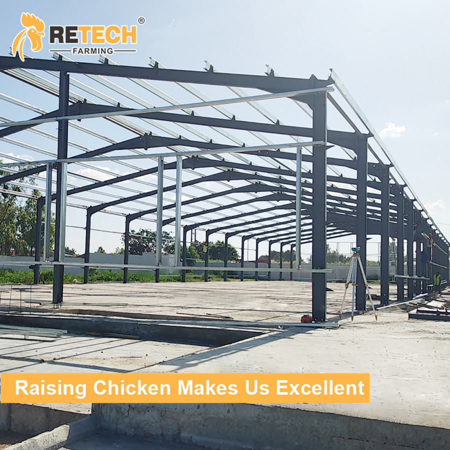 Steel structure poultry house Prefabricated steel chicken house chicken shed