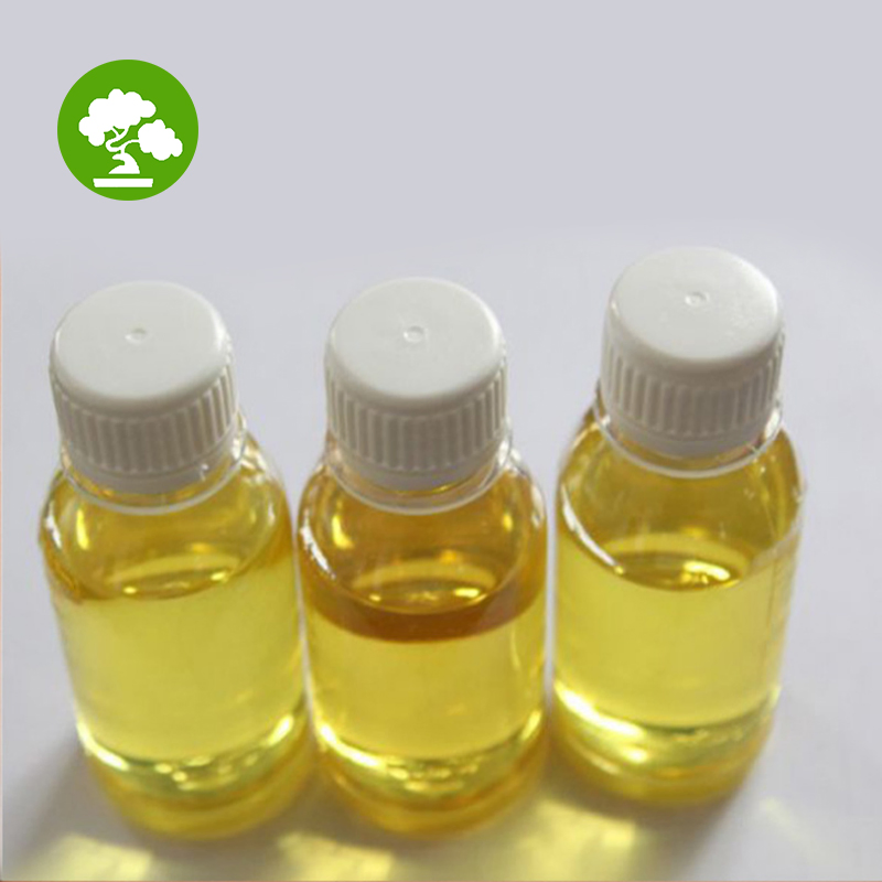 High Quality 100% Pure Cold Pressed Natural Plant Oil for Skincare & Culinary Use Camellia Oil