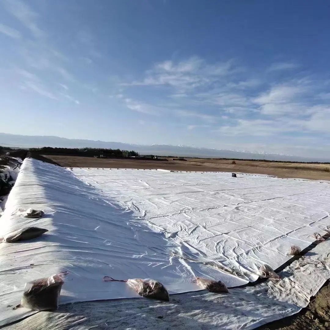 ASTM Standard Sodium Bentonite Gcls Geosynthetic Clay Liner 3000g 4000g 5000g 6000g 7000g Gcl